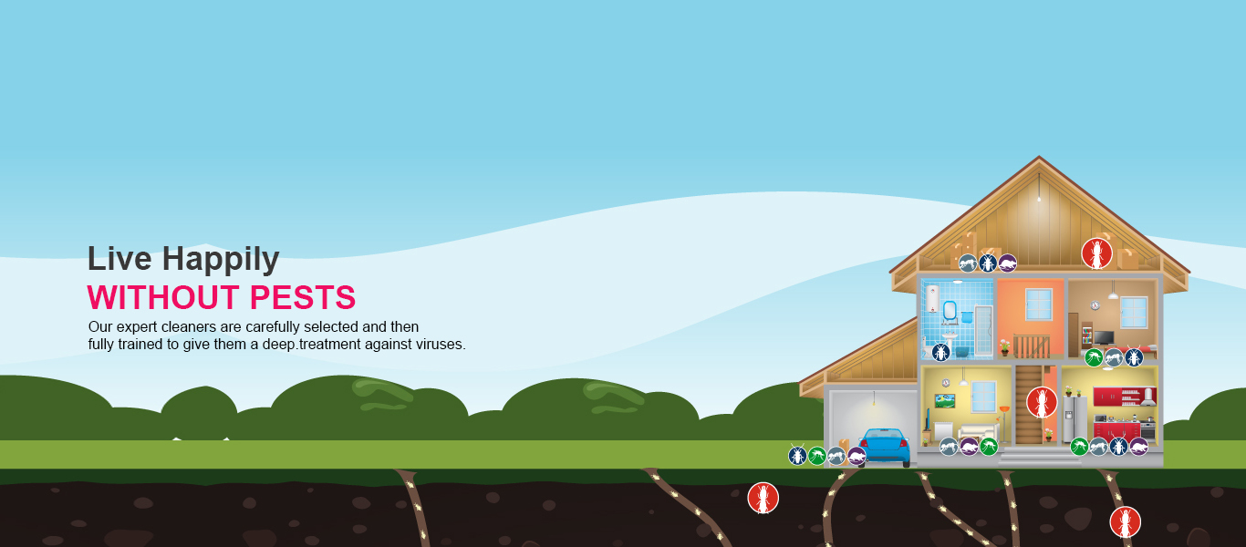 Aish Ecosafe Pest Control Management P Ltd Pest Control in Madurai